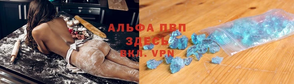 гашик Каменка