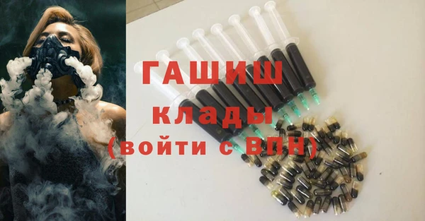 гашик Каменка