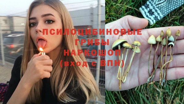 гашик Каменка