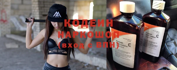 гашик Каменка