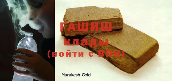 гашик Каменка