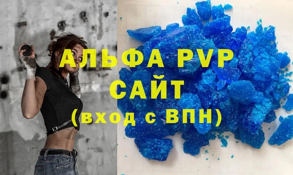 гашик Каменка