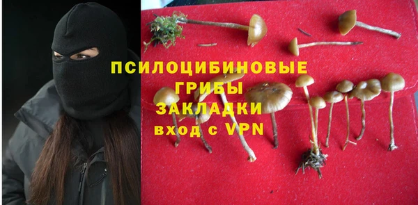 гашик Каменка