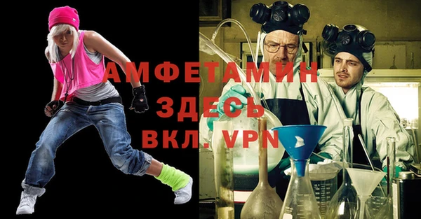 гашик Каменка
