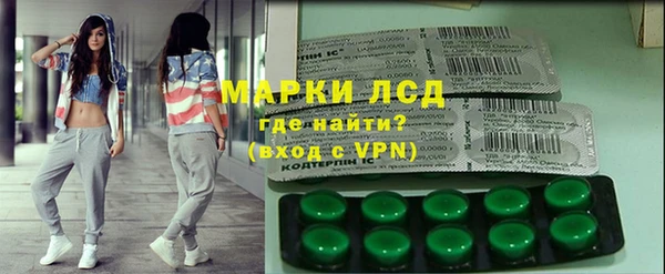 гашик Каменка