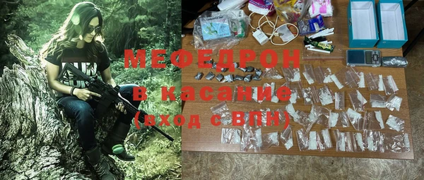 гашик Каменка