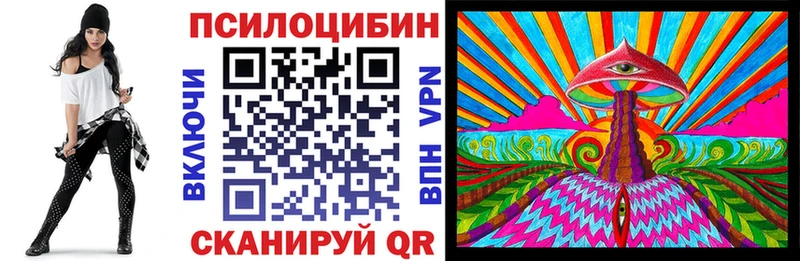 Купить закладки  Гусь-Хрустальный  Галлюциногенные грибы прущие грибы 